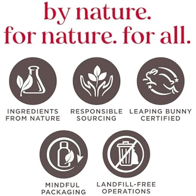 Burt's Bees 100% NATURAL MEDICATED MOISTURIZING LIP BALM WITH MENTHOL & EUCALYPTUS 2 TUBES, 0.15 OUNCE (PACK OF 2) - Image 2